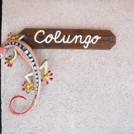 Tantaka - Meleses بيت شباب Radiquero